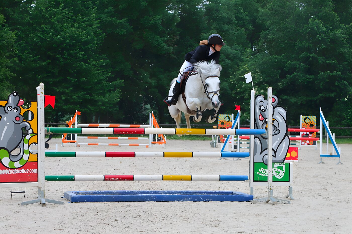 Cours adultes (18 ans et plus)